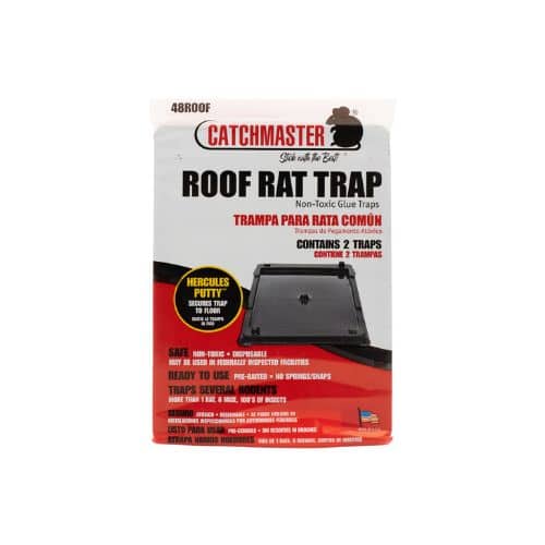 CATCHMASTER - D.D.N Boutique