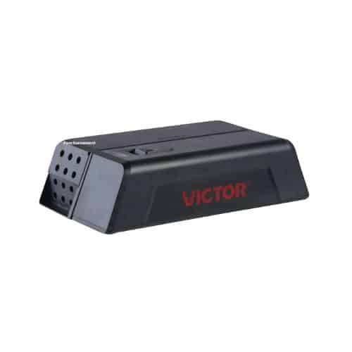 PIEGE A SOURIS VICTOR - D.D.N Boutique