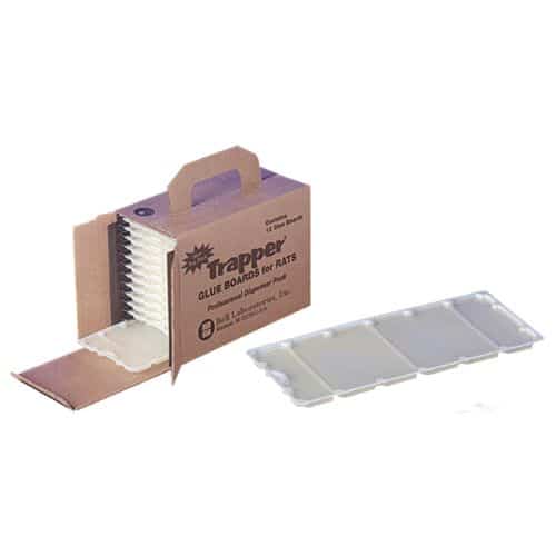 TRAPPER RAT PRO - D.D.N Boutique